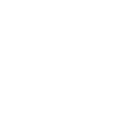 CAS Pvt Ltd Experience